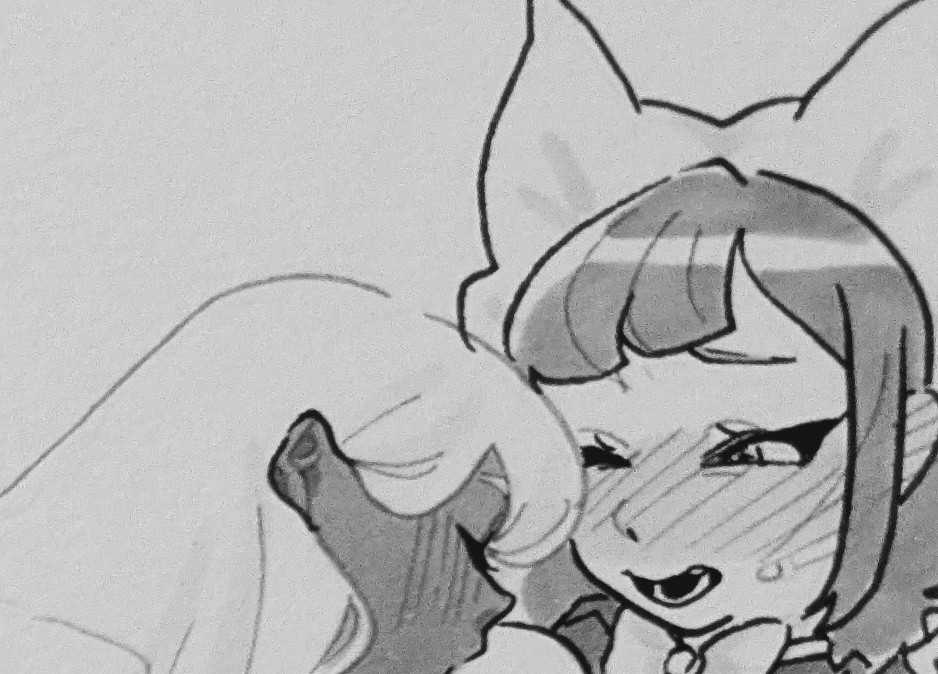 samipeko 🐱 tweet media