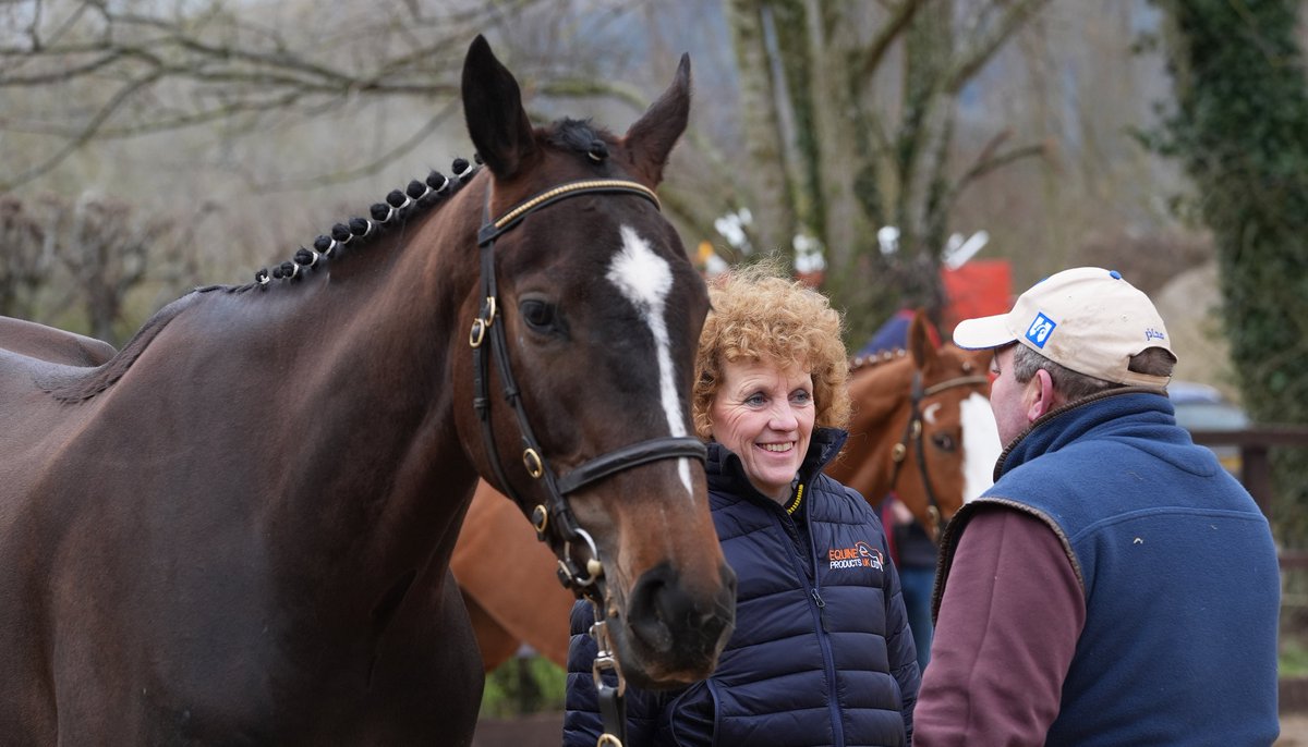 Tattersalls Cheltenham tweet media