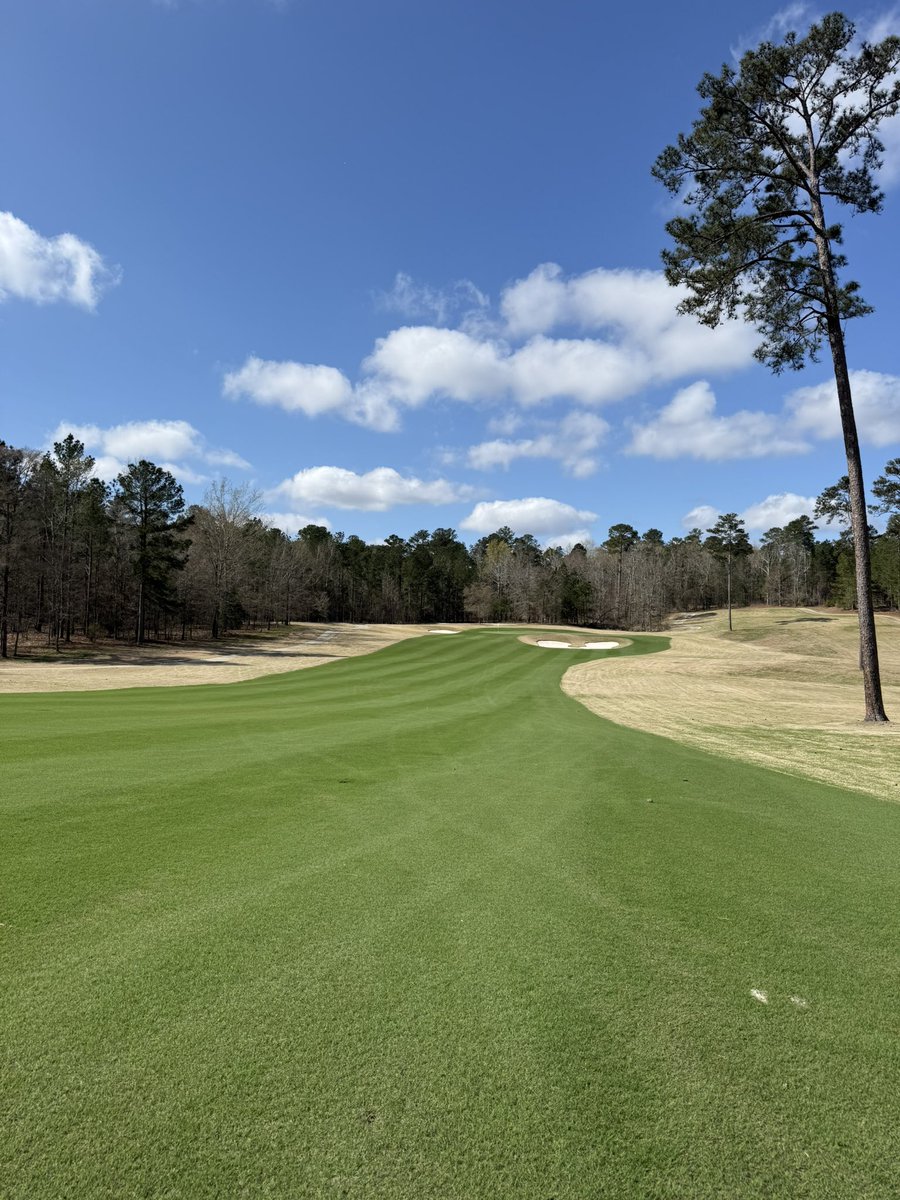 Trekeitheon Mitchell tweet media