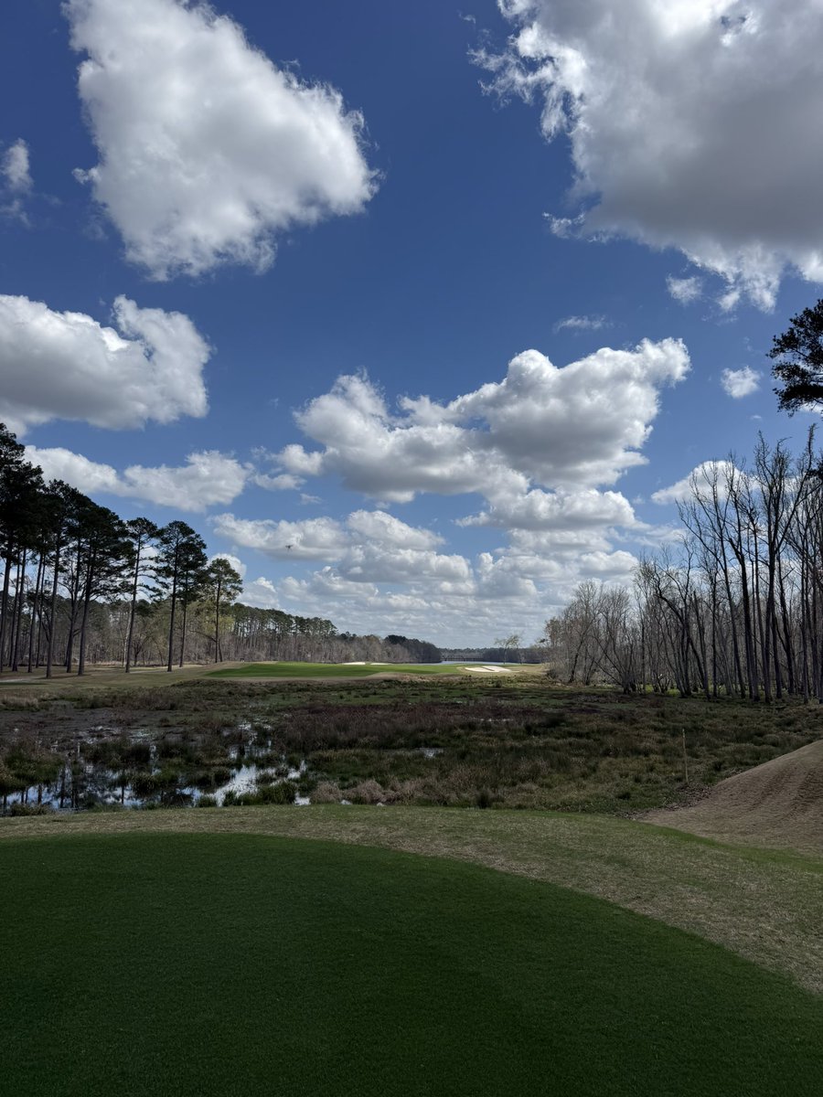 Trekeitheon Mitchell tweet media