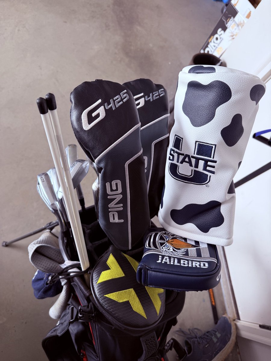 P5 Battle Cattle Fan tweet media