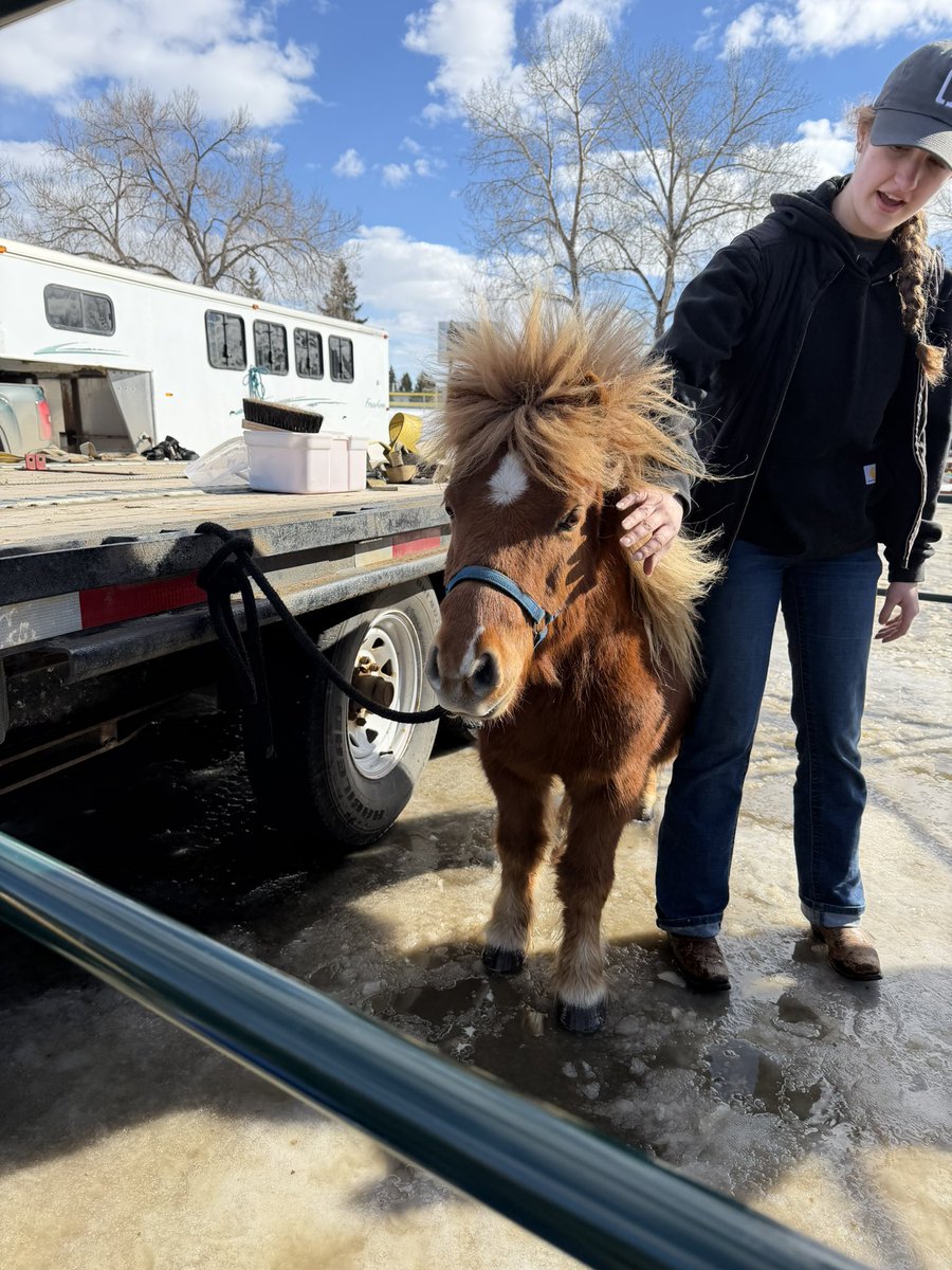 Rod Frank tweet media