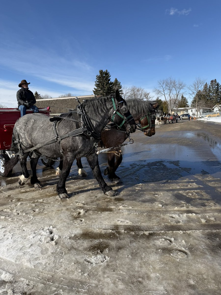 Rod Frank tweet media