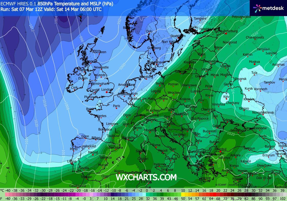 carlos/virazón tweet media