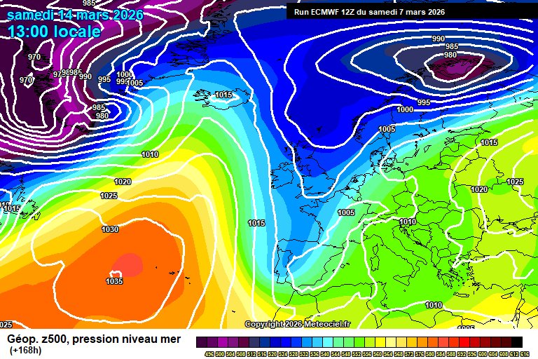 carlos/virazón tweet media