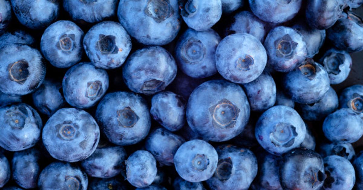 FitnessHacks101's tweet image. Six surprising health benefits of eating blueberries 🫐 Discover why this superfood deserves a spot in your daily routine! From boosting brain power to supporting heart health, find out more: ow.ly/z2vz50Yi2X2 

#Blueberries #Superfoods #HealthyEating #NutritionTips