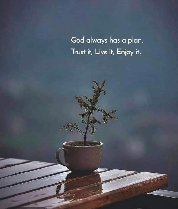 POSITIVITY (@positivitysaid) on Twitter photo 