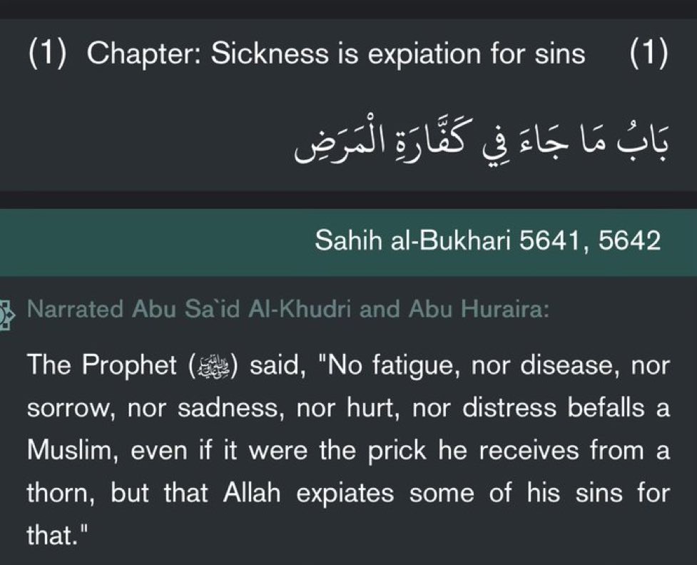 🇪🇷❓ tweet media