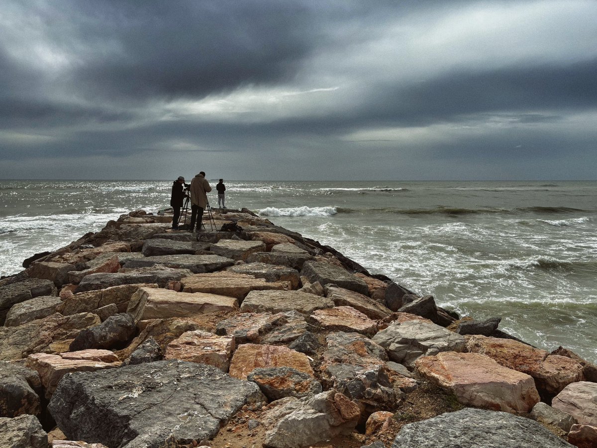 Juan Carlos tweet media