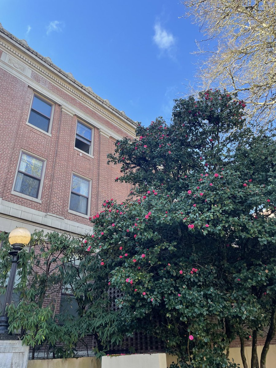 Magdalena🌲 tweet media