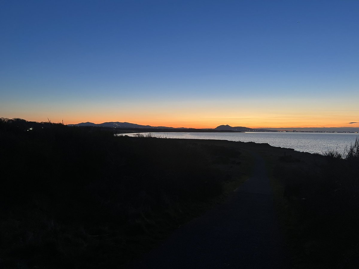 Tim Bonner tweet media