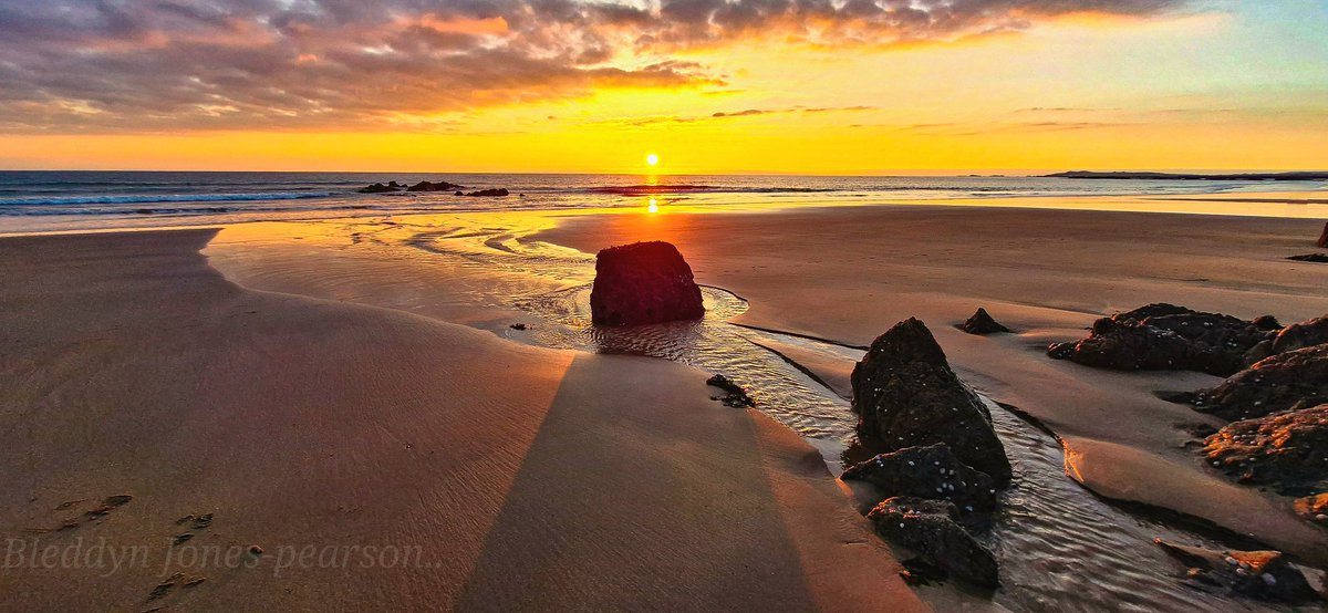 BleddynJones-Pearson tweet media