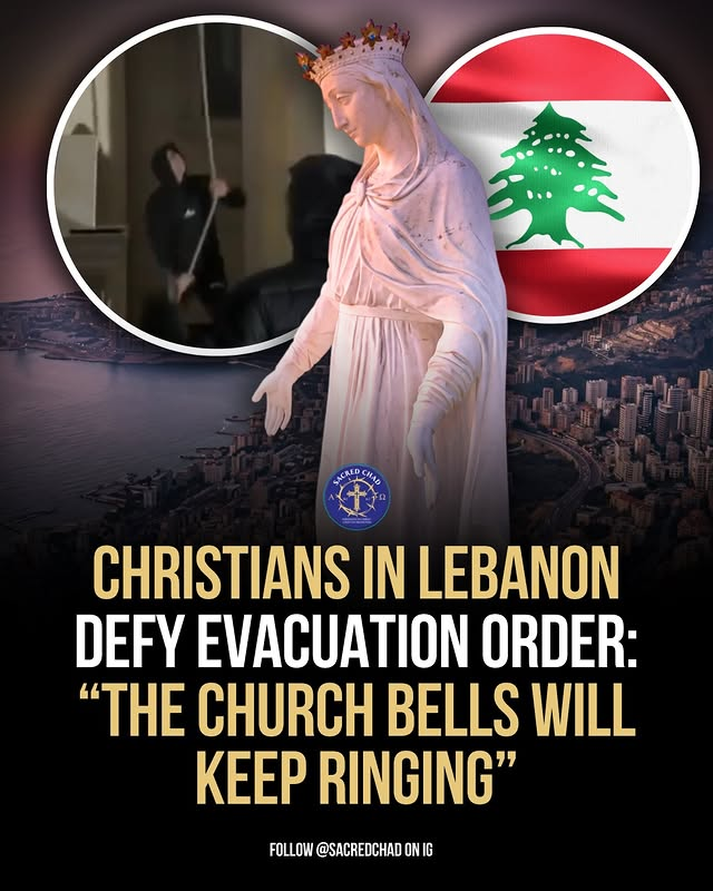 Trad West tweet media