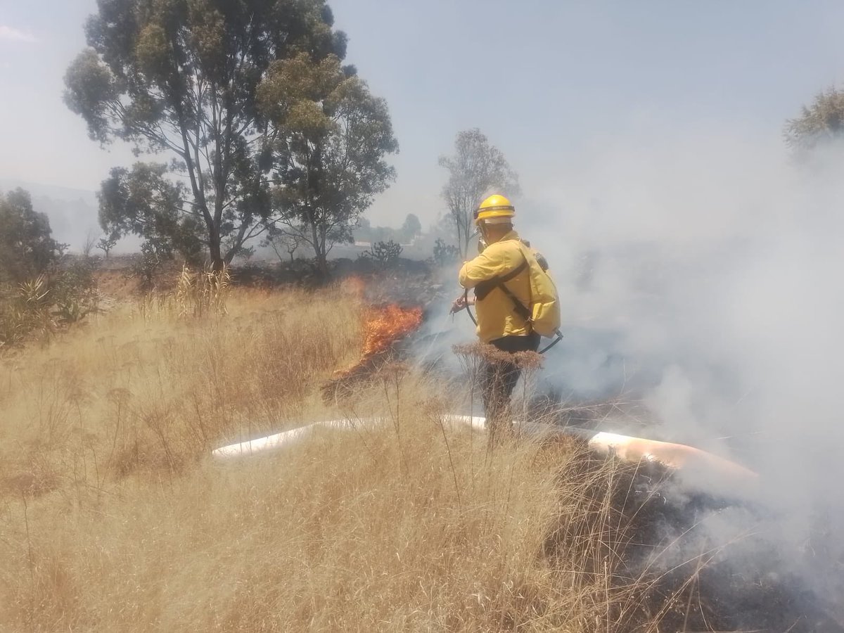 SedeaQro's tweet photo. Nuestras brigadas forestales del @gobqro atendieron con éxito un incendio en el ejido de San Ildefonso Tultepec, Amealco de Bonfil.
Si detectas fuego o columnas de humo, no te arriesgues y repórtalo de inmediato:
📞 9-1-1
📞 442 286 2686 (SEDEA)

#AquíContigo https://t.co/SaCQBC7Ycv