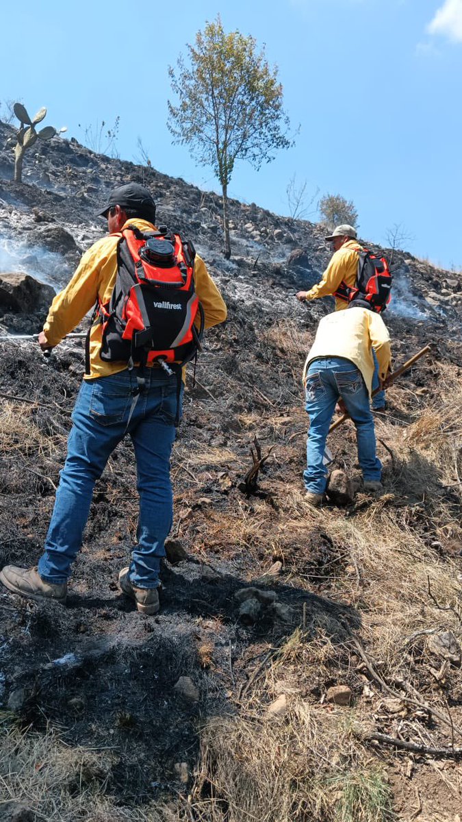 SedeaQro's tweet photo. Nuestras brigadas forestales del @gobqro atendieron con éxito un incendio en el ejido de San Ildefonso Tultepec, Amealco de Bonfil.
Si detectas fuego o columnas de humo, no te arriesgues y repórtalo de inmediato:
📞 9-1-1
📞 442 286 2686 (SEDEA)

#AquíContigo https://t.co/SaCQBC7Ycv