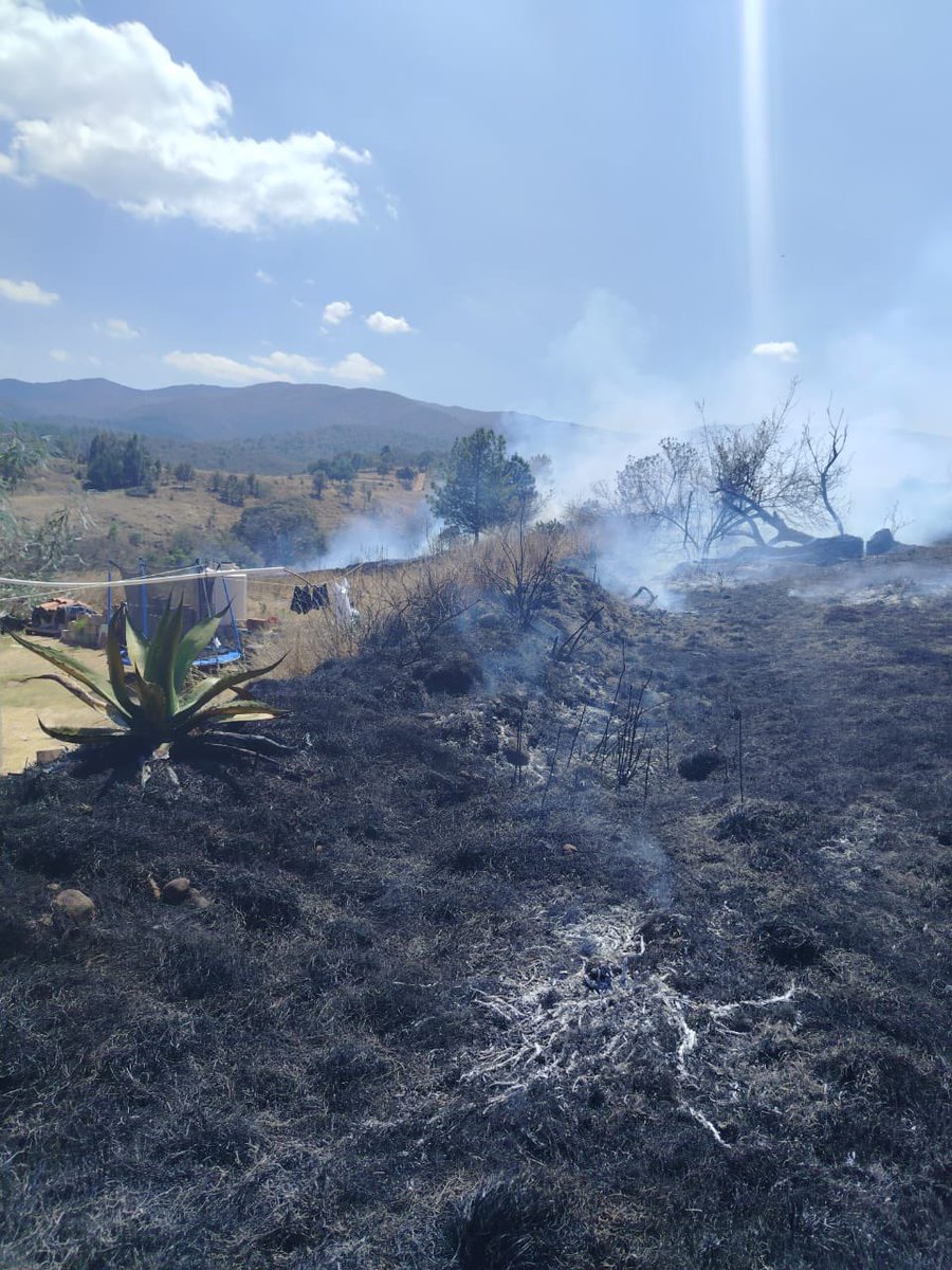 SedeaQro's tweet photo. Nuestras brigadas forestales del @gobqro atendieron con éxito un incendio en el ejido de San Ildefonso Tultepec, Amealco de Bonfil.
Si detectas fuego o columnas de humo, no te arriesgues y repórtalo de inmediato:
📞 9-1-1
📞 442 286 2686 (SEDEA)

#AquíContigo https://t.co/SaCQBC7Ycv