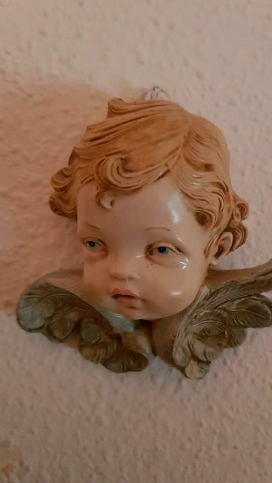 Así los leo, shikitos: