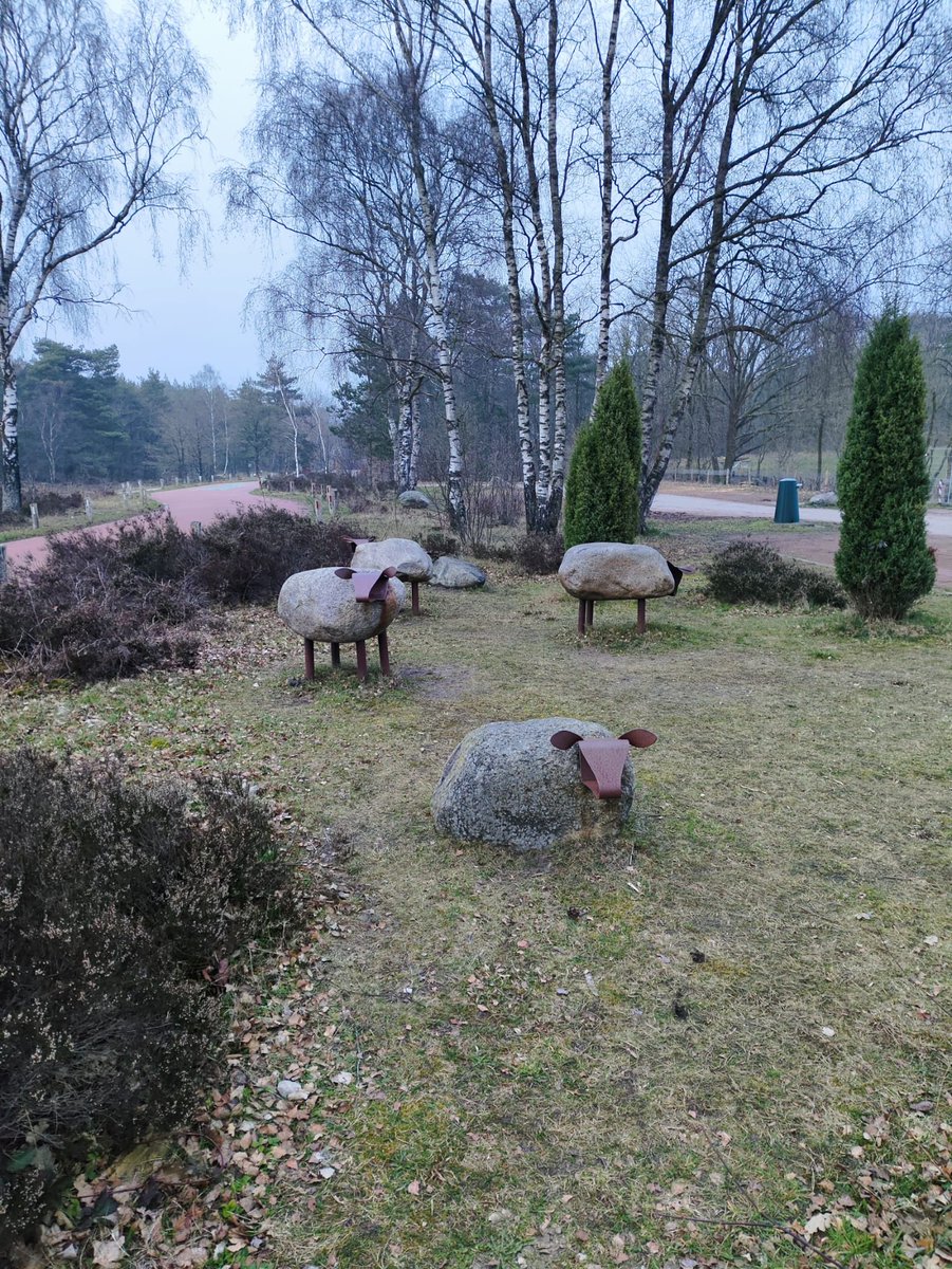 Weet u van die groep PvdA GroenLinksers die van #Elspeet naar #Hulshorst liepen? 😅Ja, die moesten zo omlopen dat ze voor zonsondergang niet verder kwamen dan de Stakenberg!  Wordt vervolgd! ❤️💚