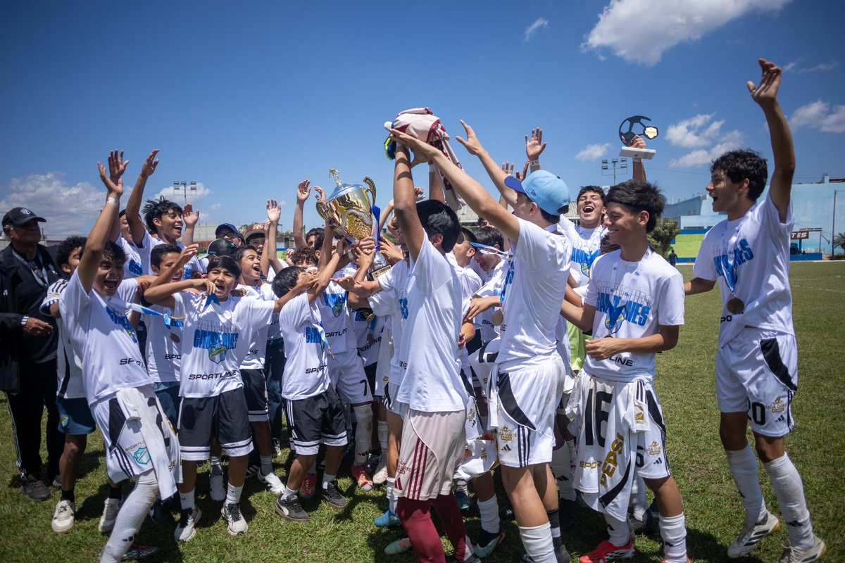 CamerinoCrema tweet media