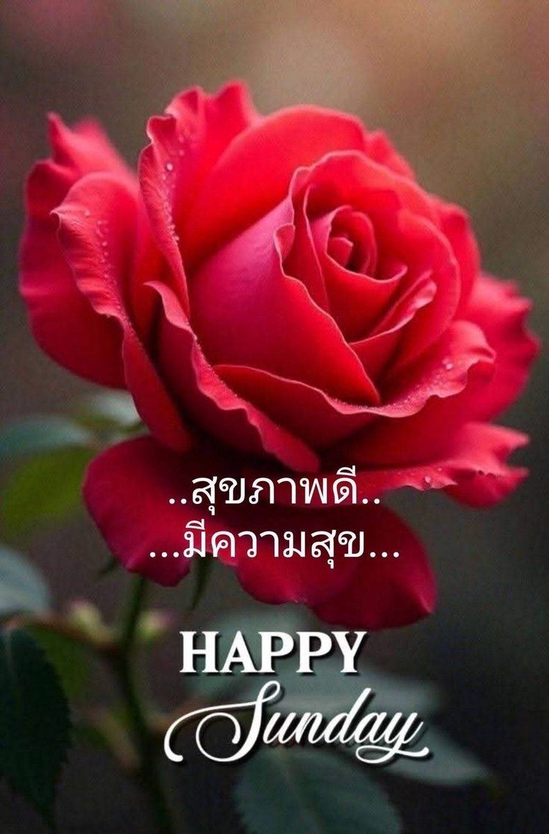 redheart tweet media