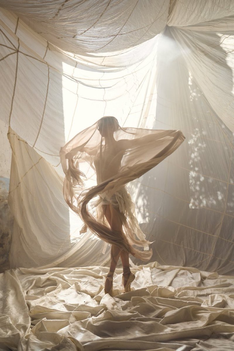 Fidel Amos ⟁ tweet media