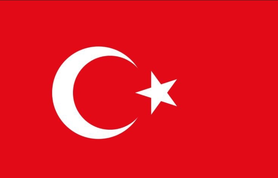Oznurizgii's tweet photo. the flag                                      the face https://t.co/Ua022MSCUN