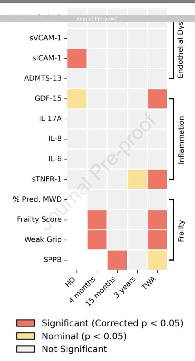 Hayley Gershengorn tweet media