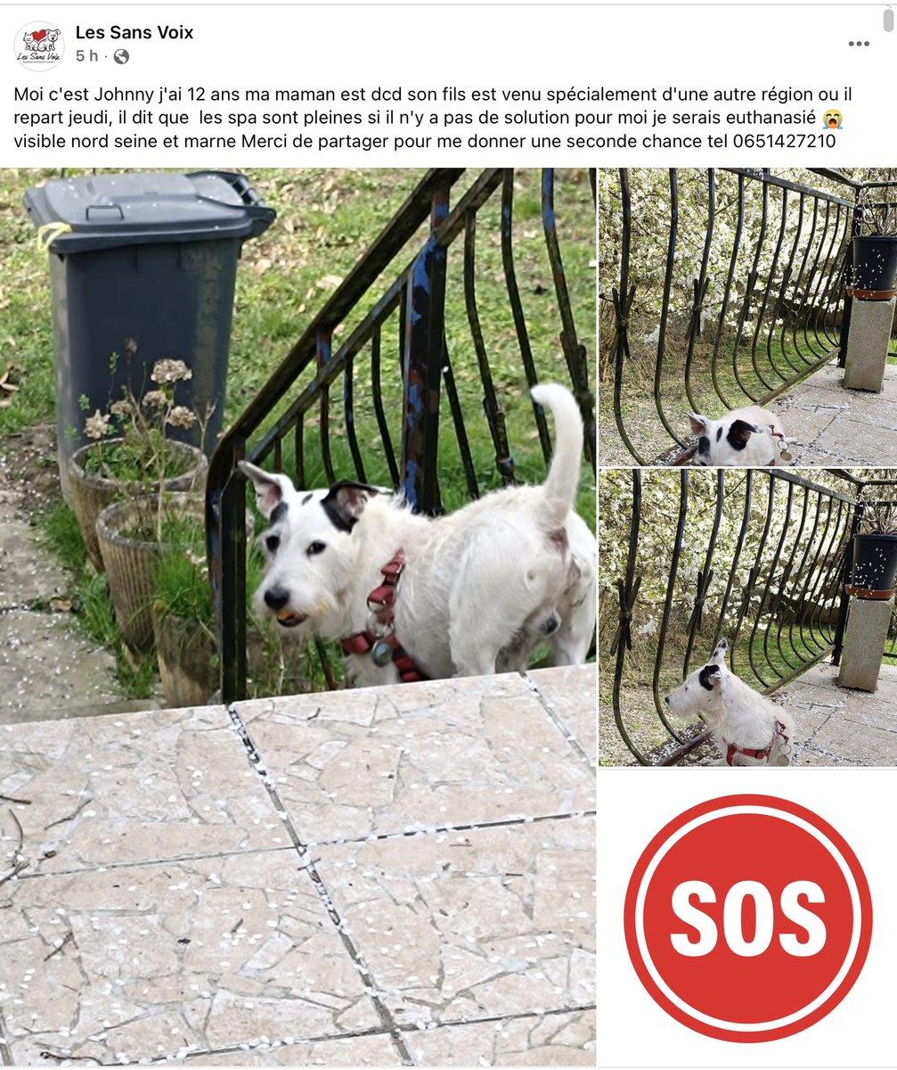 🎓 Les potits bidous de Fréa tweet media