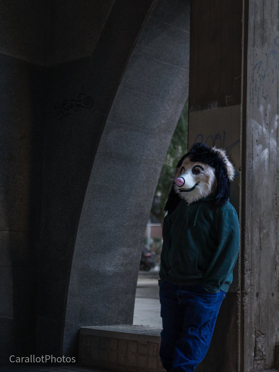 In the concrete jungle.
🐶 <a href="/lace22l/">𝙆𝙮𝙡𝙚 🐾💻🎵 🔜 Ibercon</a>

#FursuitEveryday #fursuiting