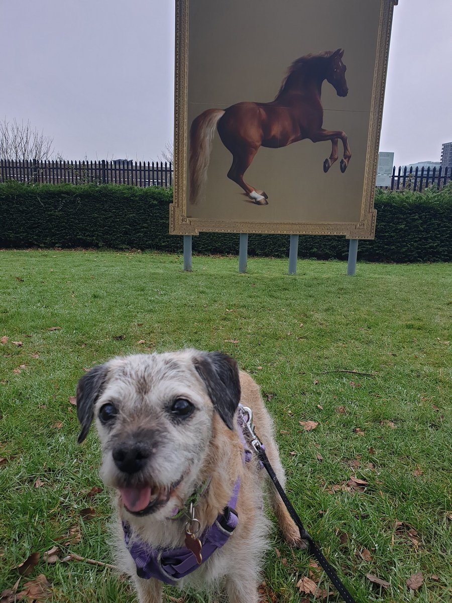 borderpup tweet media