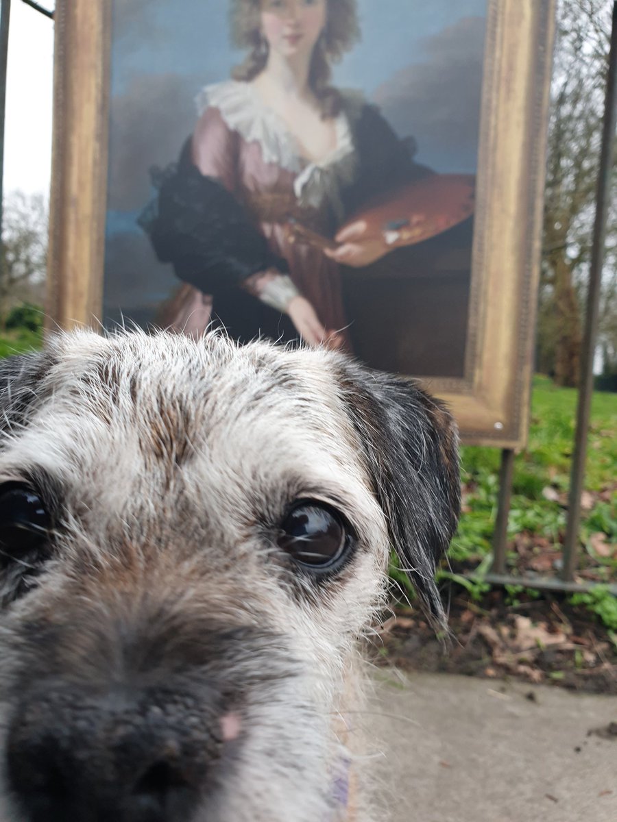 borderpup tweet media