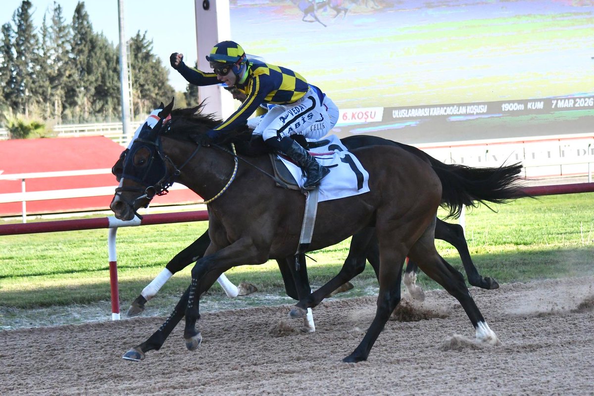 Ferit bayır tweet media