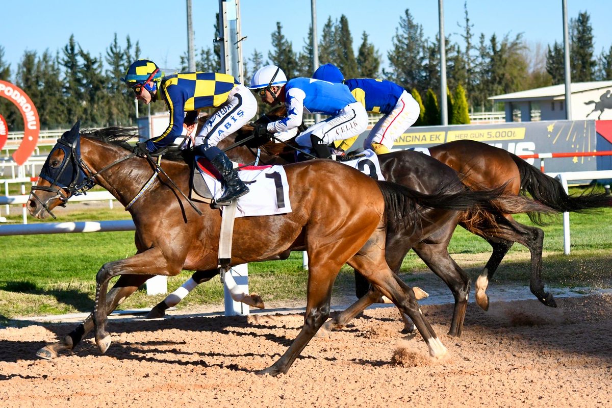 Ferit bayır tweet media