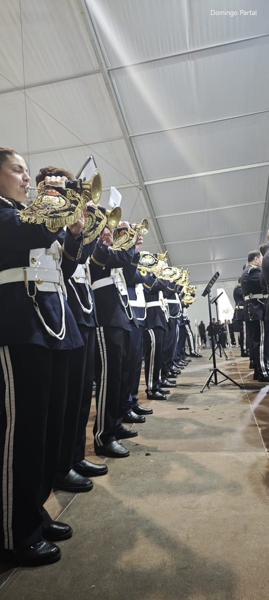 Banda de CCTT del Real Cuerpo de Bomberos tweet media