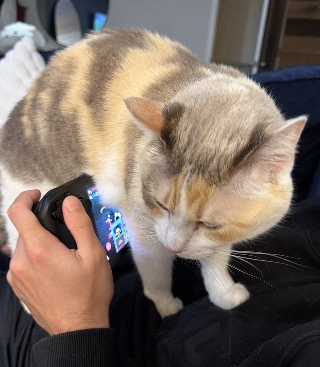 Gaming is cancelled it’s Panko time now