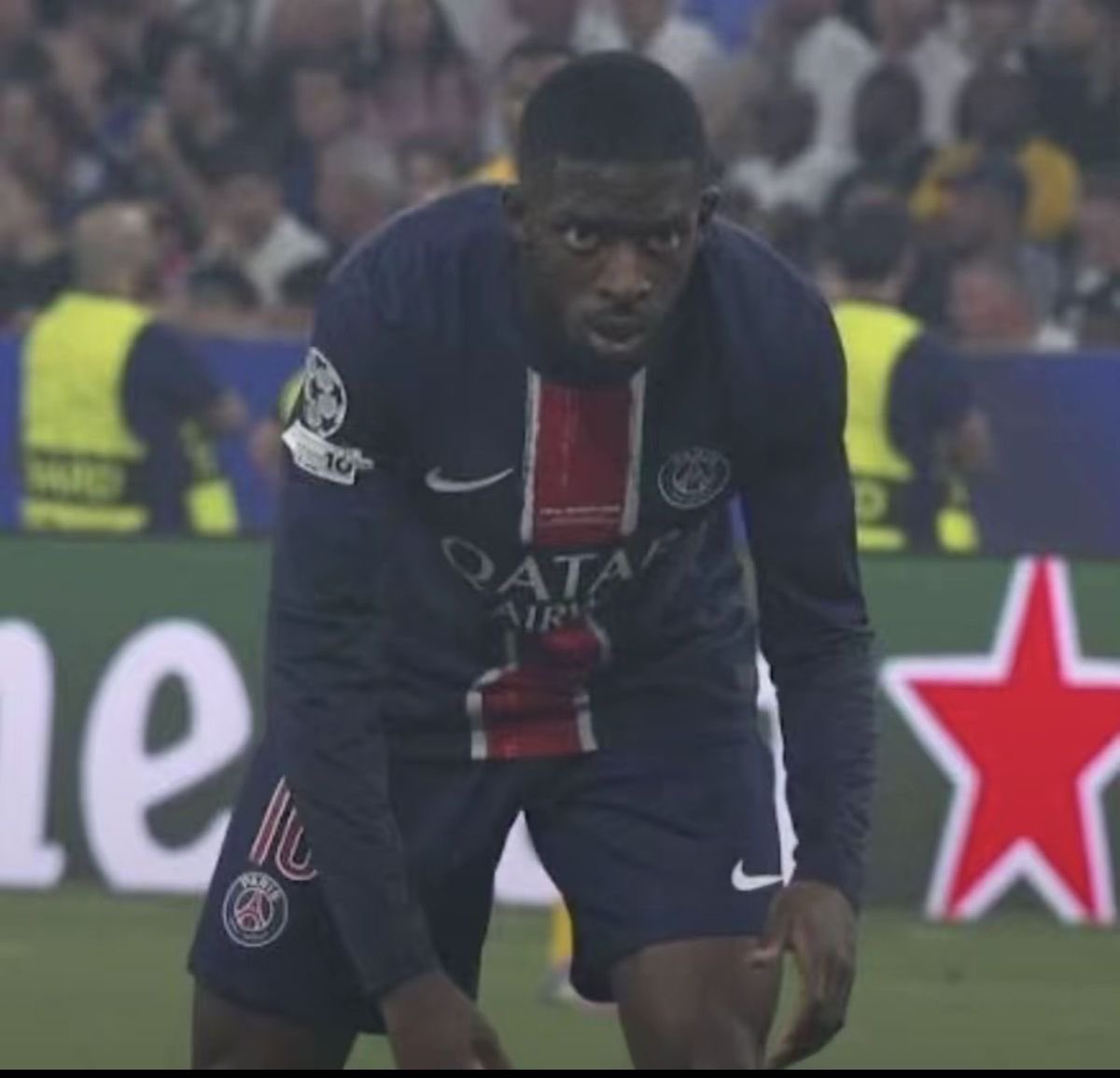 SEZEMMA† tweet media