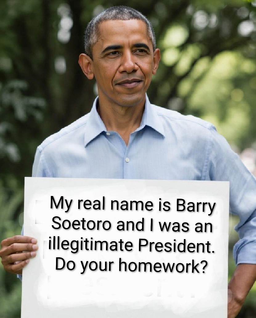 Palmer#1964 tweet media