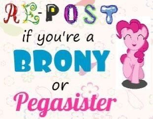 jellydonut tweet media