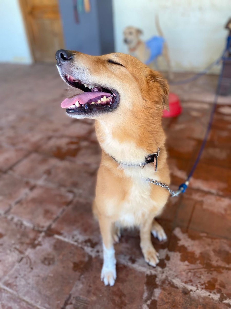 Chata💕🐾🐼 tweet media