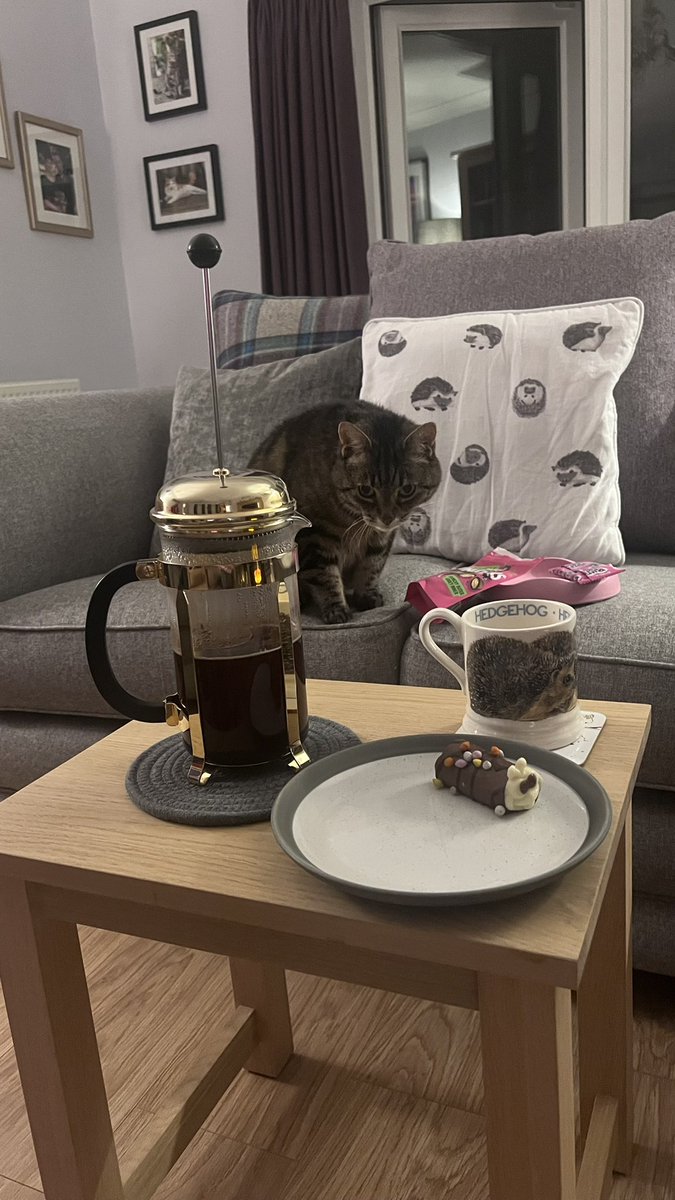 Millie 😸 📚 💚 🦔 tweet media