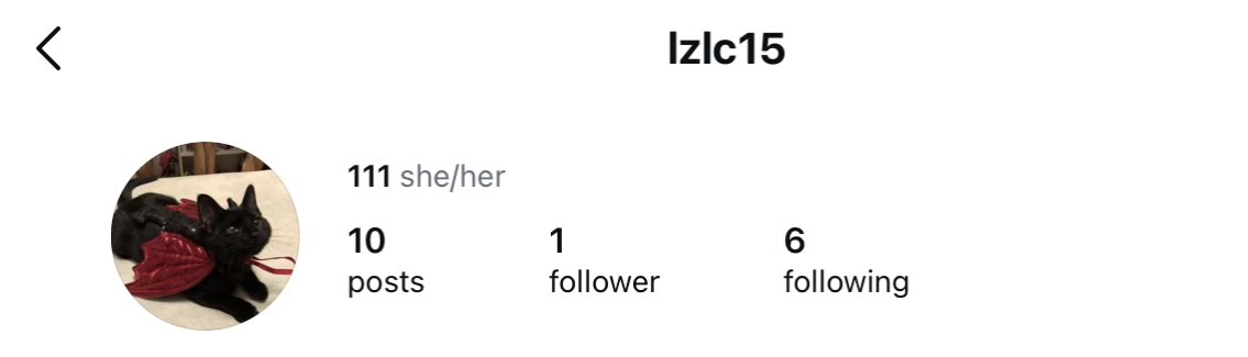 LZLC15's tweet photo. Hi there! I am rarely active on twt and I created an IG account for posting my art work you can follow me🫶 https://t.co/u47KVJ9zMa
