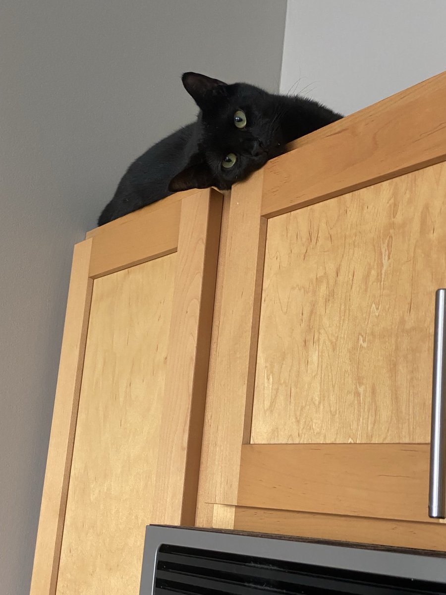 Frank Conniff tweet media