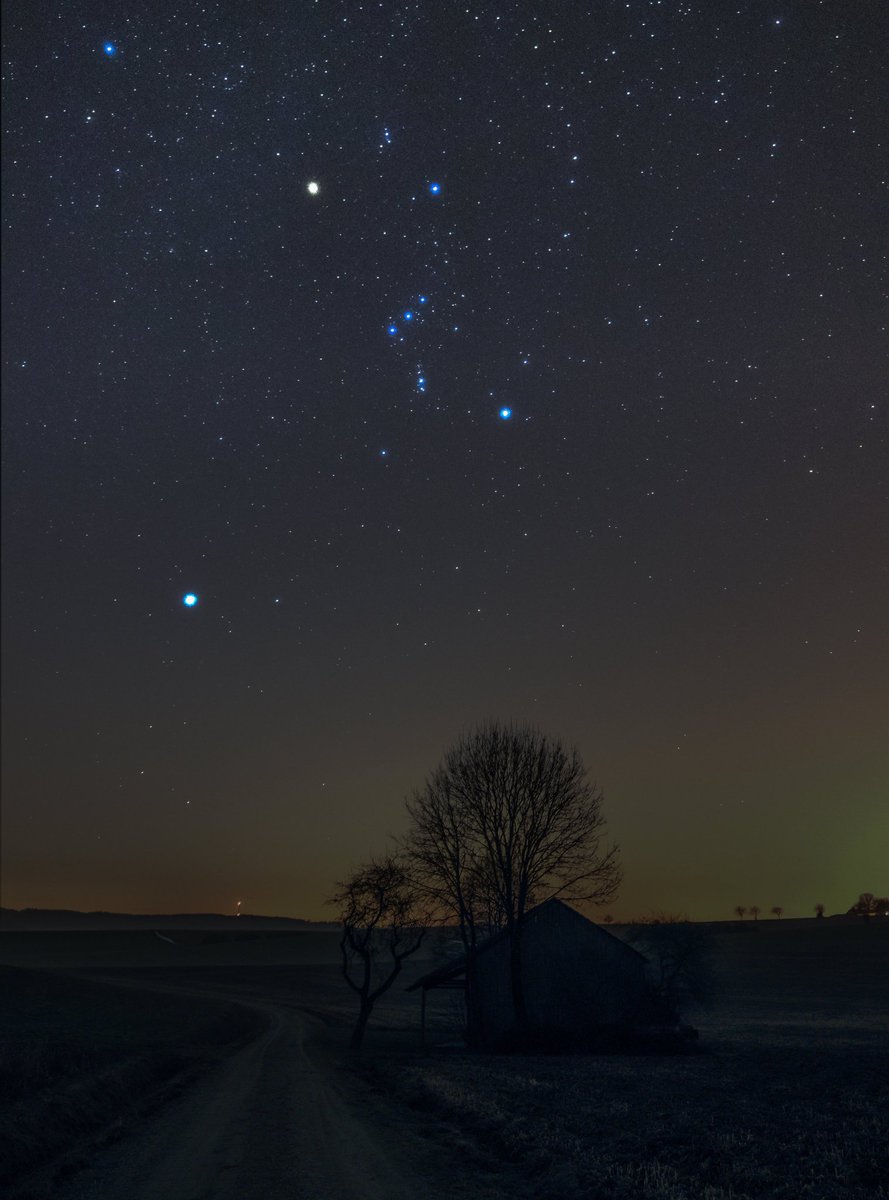 For all Curious tweet media