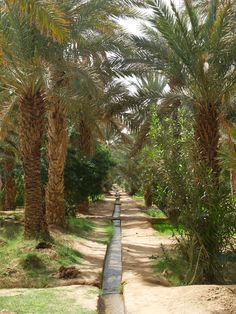 افنان (@afnanslmaan) on Twitter photo 