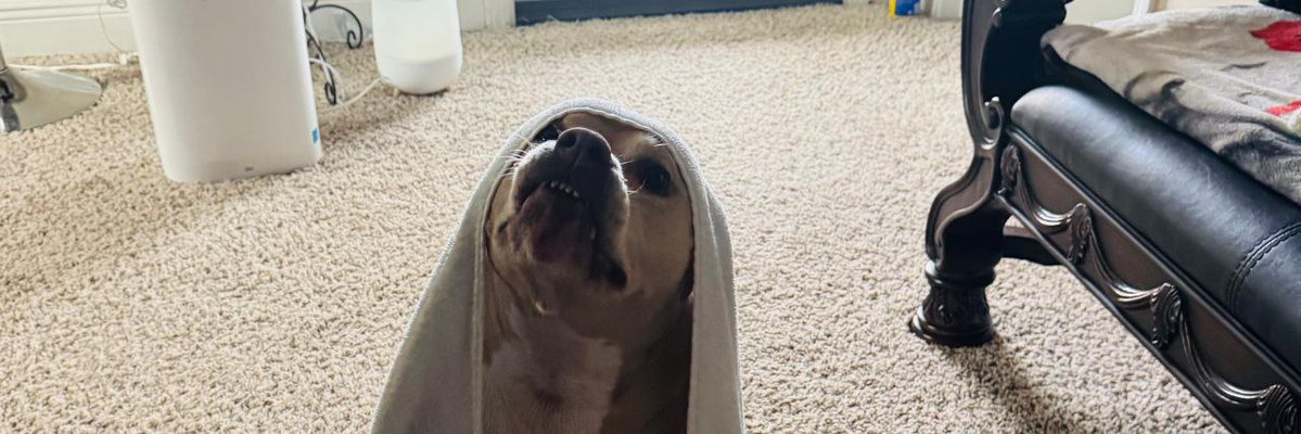 Memes are unpredictable…
But strong positioning increases the odds.
That’s why $VENUS caught my attention.

<a href="/MayamemeVenus/">Mayameme</a>
Trade: catex.io/trading/VENUS/…