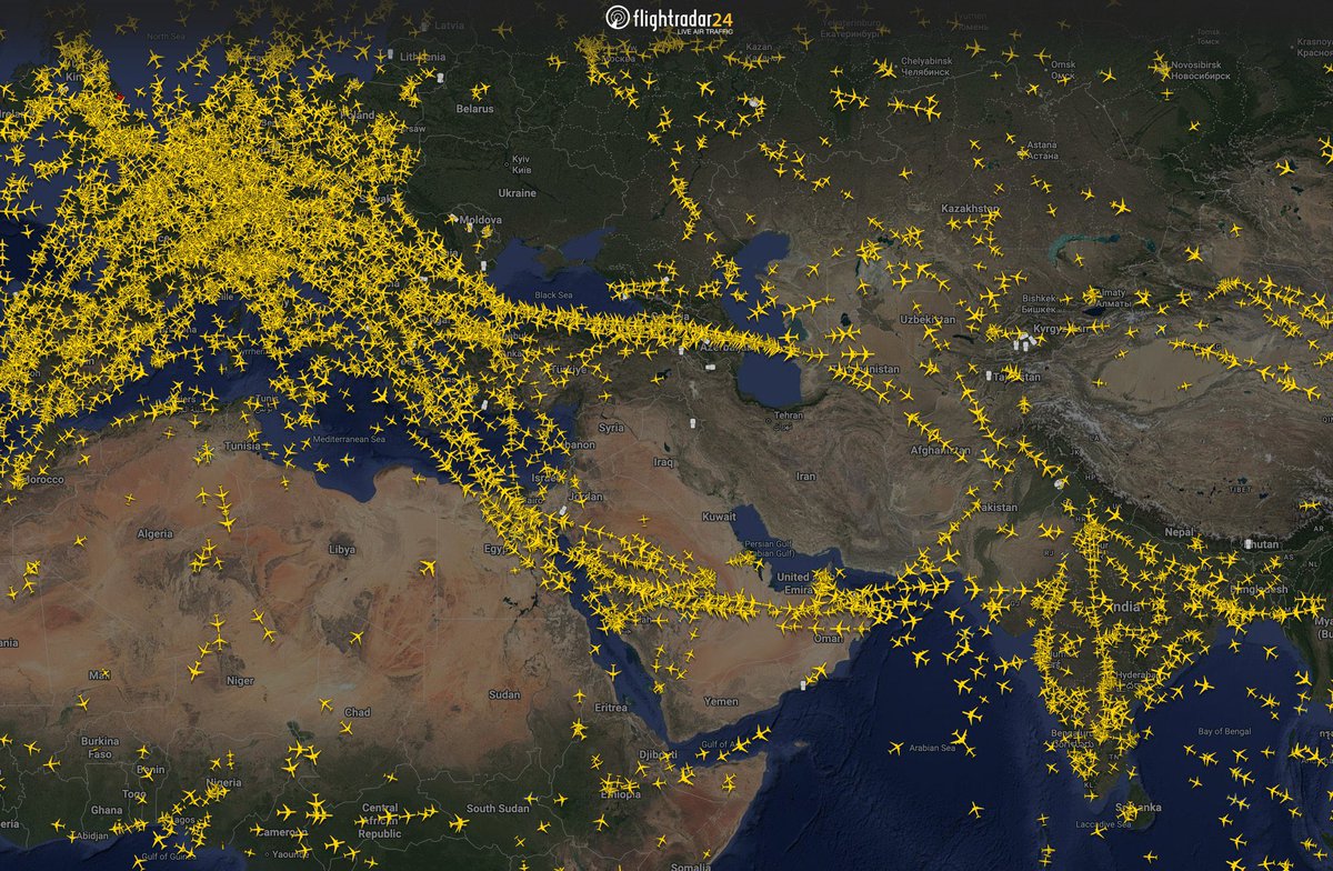 Luke Coffey tweet media