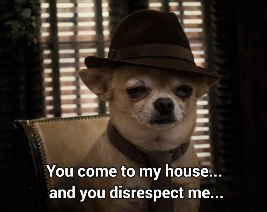 Shaded Resolve tweet media