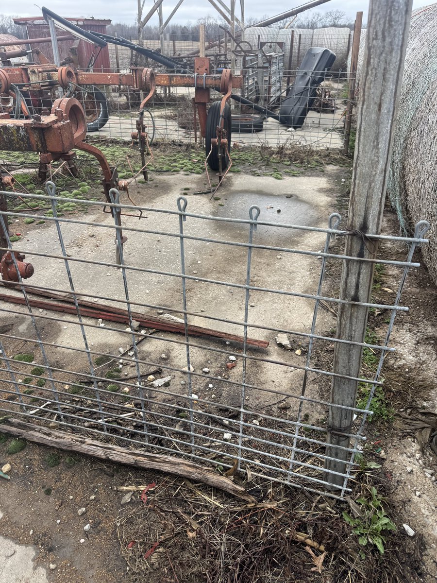 Gavin Spoor tweet media