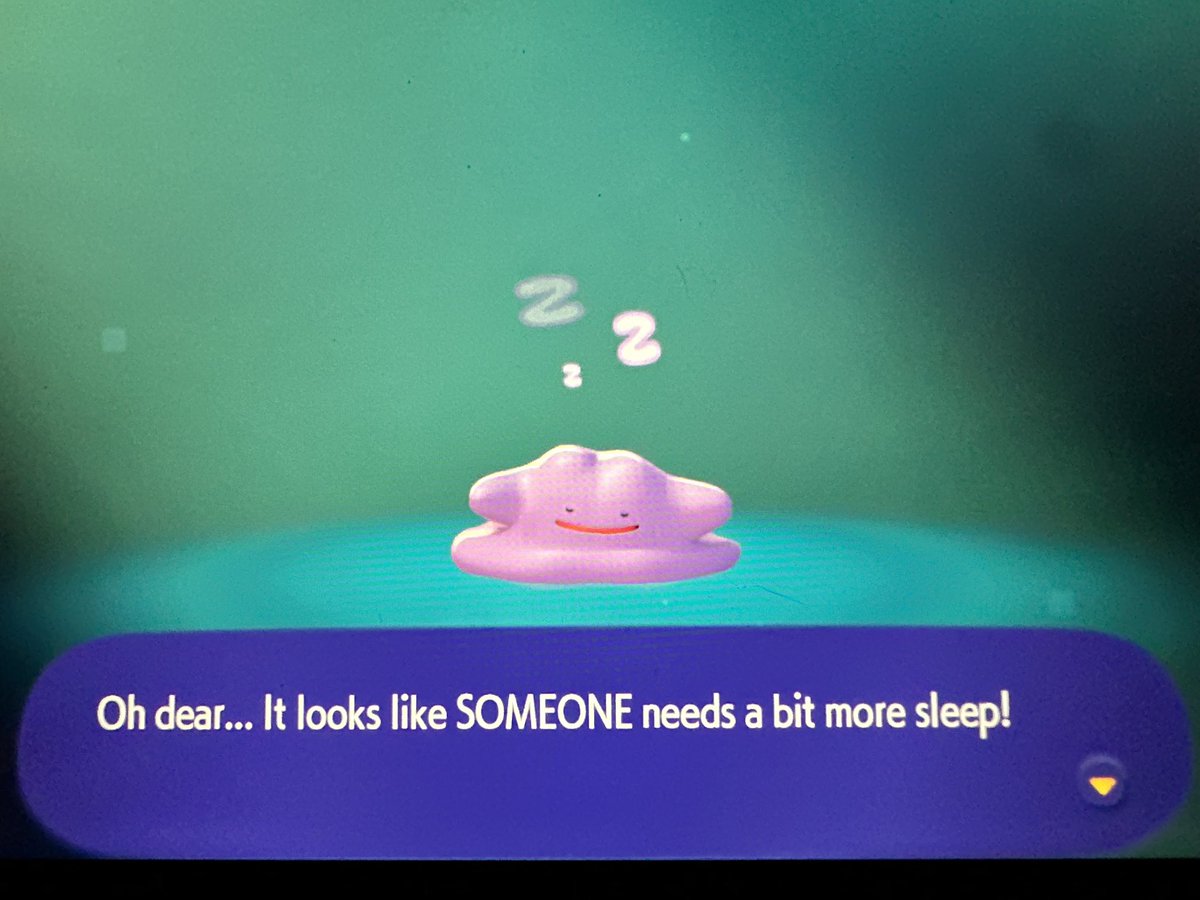 Lana the Bug 🪲💕 tweet media