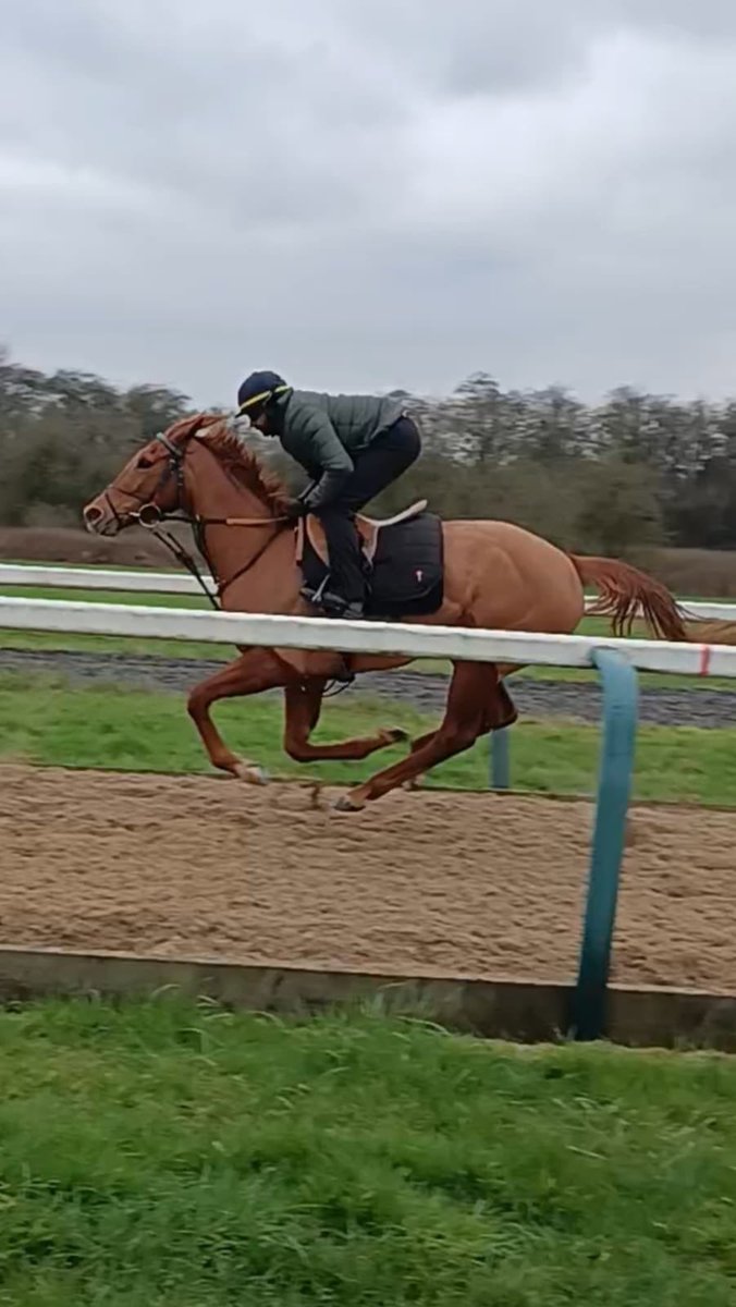 Michael Madden tweet media